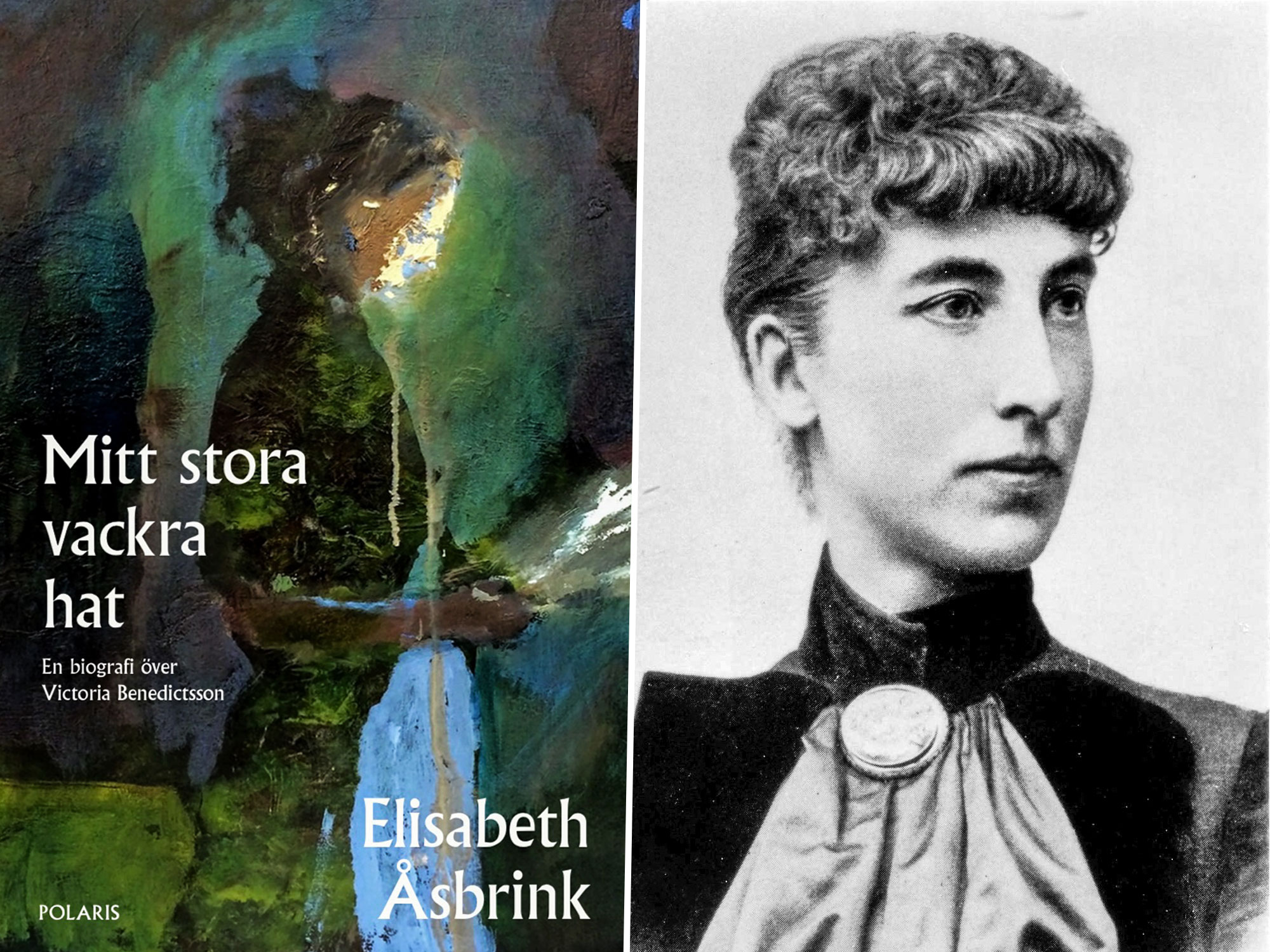 Elisabeth Åsbrinks bok 