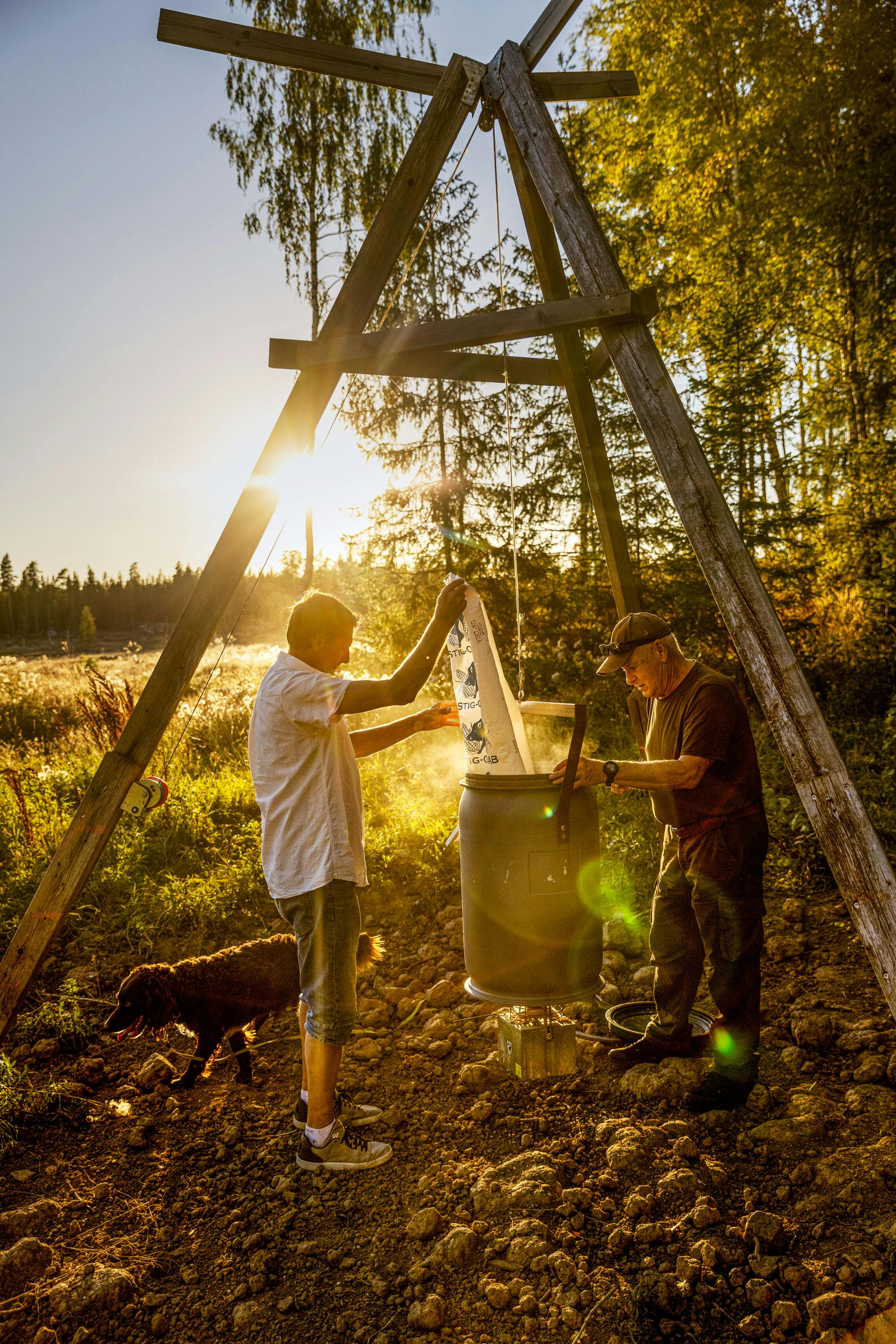 Tony Larsson och Ulf Blomberg är båda erfarna jägare och har sett hur skogarna förändrats genom åren. Här fyller de på en foderautomat. Hunden Milo övervakar arbetet.